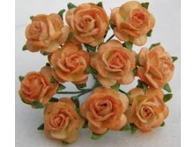 2-tone-apricot-mulberry-paper-roses