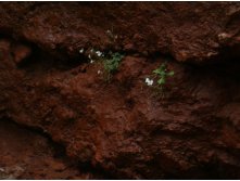   . 05.06.2010 22:56:44