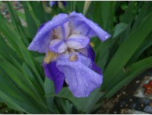   . 05.06.2010 23:01:54