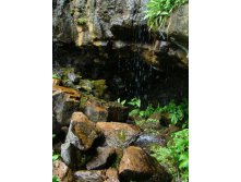   . 06.06.2010 10:13:22