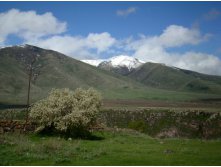   . 06.06.2010 10:27:07