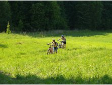 07.06.2010 15:37:32
