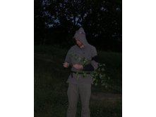 03.07.2010 13:34:13