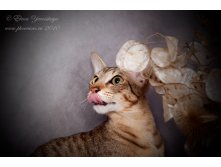 10.07.2010 13:59:44