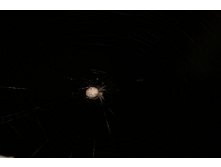 16.07.2010 21:00:33