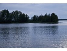 19.07.2010 19:37:29