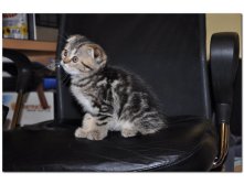 05.08.2010 18:53:56
