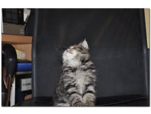 05.08.2010 18:53:59