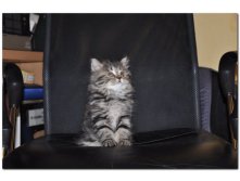 05.08.2010 18:54:01