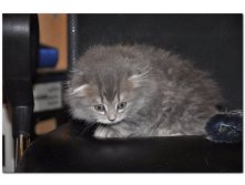 05.08.2010 18:54:43