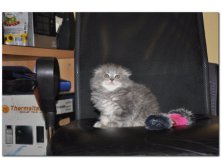 05.08.2010 18:54:51