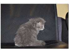 05.08.2010 18:55:03