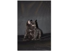 05.08.2010 18:55:32