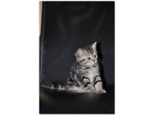 05.08.2010 18:55:58