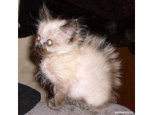 07.08.2010 9:55:28