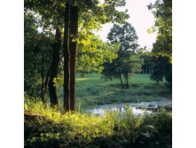 14.08.2010 16:18:15