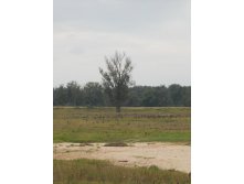 30.08.2010 0:52:27