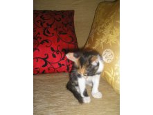 01.09.2010 14:24:51