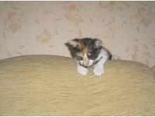 01.09.2010 14:28:30