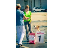 01.09.2010 14:30:27