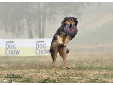 01.09.2010 17:36:51