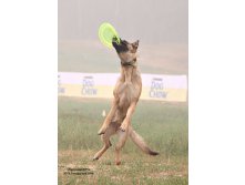 01.09.2010 17:45:34
