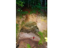 IMG_4855