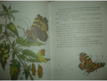 12.09.2010 14:28:09
