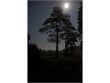 28.09.2010 9:01:01