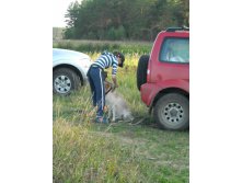 06.10.2010 10:01:53