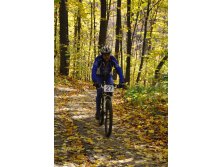 11.10.2010 11:54:50