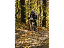 11.10.2010 11:57:33
