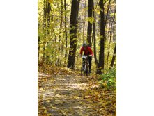 11.10.2010 12:01:38