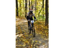 11.10.2010 12:08:38