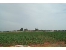 24.10.2010 15:59:37