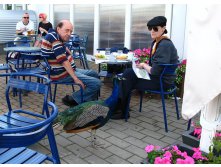 26 самим есть нечего, да.. понимаю.. те вот ваши гамбургеры не в счет, канешно...