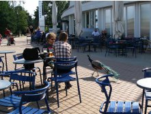 33 я вас покидаю.. вот тока еще у парней спрошу