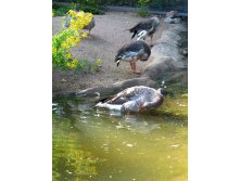 43 в жизни главное - синхронность!