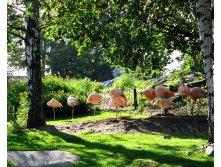 53 одной ноги вполне достаточно