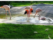 54 этот растопыренный парень всех нервирует