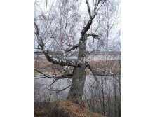 07.11.2010 21:58:17