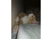 20.11.2010 12:24:52
