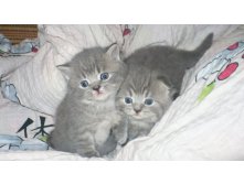 30.11.2010 22:33:06