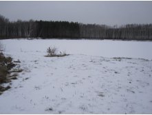 05.12.2010 19:36:30