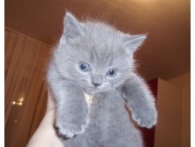 07.12.2010 0:37:52