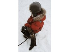 13.12.2010 21:54:39