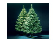 16.12.2010 20:25:31