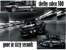 shelby cobra 500