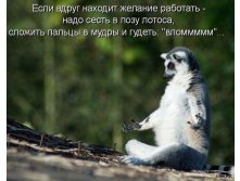25.12.2010 14:55:33