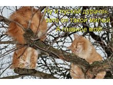 25.12.2010 14:55:34